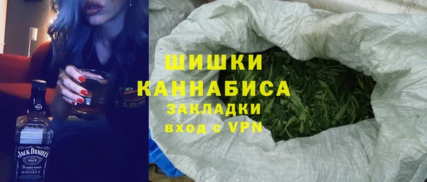 гашик Дмитриев