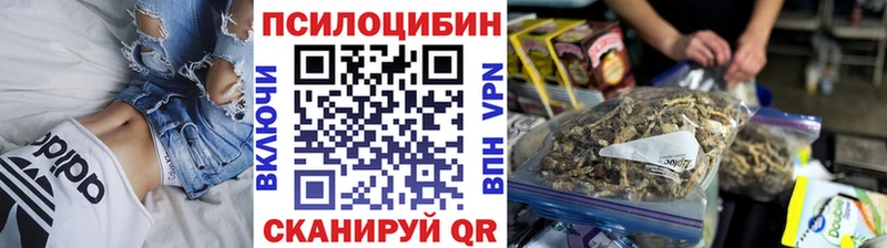 Псилоцибиновые грибы мицелий  закладки  Зуевка 