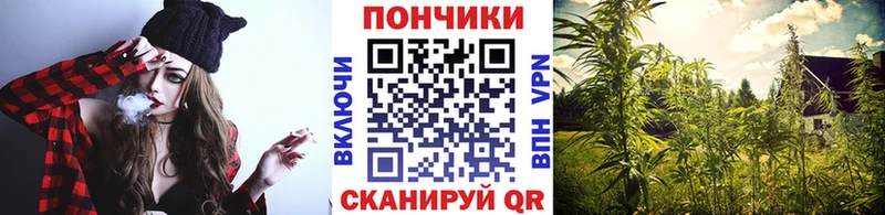 Марихуана SATIVA & INDICA  купить   Зуевка 